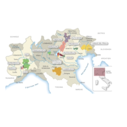 Mousserende vin l Prosecco Doc l Italien l