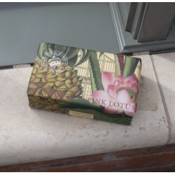 Sbe l Fast sbe l Pineapple &amp; Lotus l 240g l Vegan l