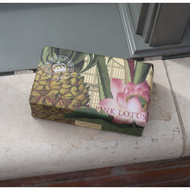 Sbe l Fast sbe l Pineapple &amp; Lotus l 240g l Vegan l