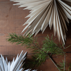 Stjerne l Papir l Sand l Jul l LED l 50 l Wikholmform l 