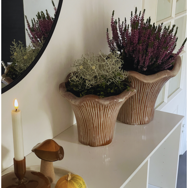 Krukke l Urtepotte l St af 2 stk l Kantareller l Porceln l 25 / 21 cm l 