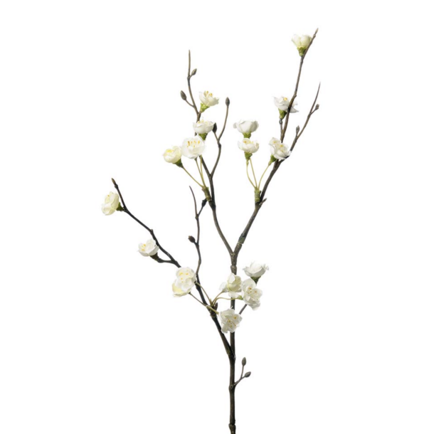 Kvist l Blomster kvist l Hvid l Kunstige blomster l Evigheds blomst l Mr Plant l 