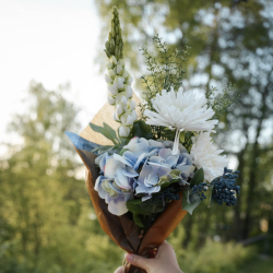 Hortensia l Bl l Kunstie blomster l Evigheds blomst l Mr Plant l