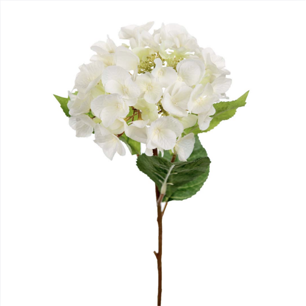 Hortensia l Hvid l Kunstige blomster l Evigheds blomst l Mr Plant l 