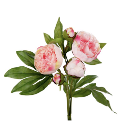 Pion l Lyserd l Kunstige blomster l Evigheds blomst l Mr Plant l 