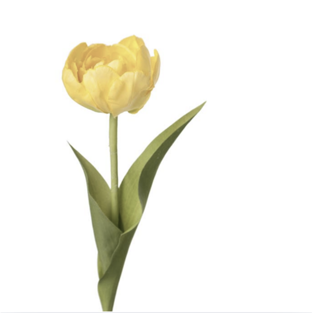 Tulipan l Gul l 36cm l Kunstige blomster l Evigheds blomst l MrPlant l 