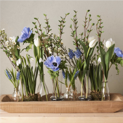 Tulipan l Hvid l 36cm l Kunstige blomster l Evigheds blomst l MrPlant l 