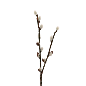 Pil l Grn & brun l 36 cm l Kunstige blomster l Evigheds gren l Mr Plant l 