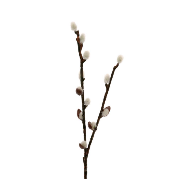 Pil l Grn &amp; brun l 36 cm l Kunstige blomster l Evigheds gren l Mr Plant l 