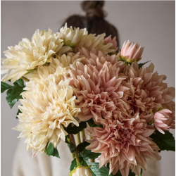 Evighedsblomster l Dahlia l Lyserd l 70cm l Indretning l Mr Plant l 