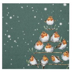 Servietter | Wrendale | Rockin Robins