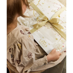 Julekalender I Amber I Summerbird