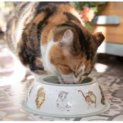 Madsk�l til katte I Wrendale 