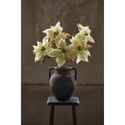 Julestjerne | Creme | Kunstig | Mr Plant 