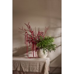 Brkvist med rde br | Mr Plant