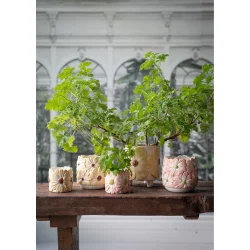 Urtepotteskjuler med gule blomster I Wikholm